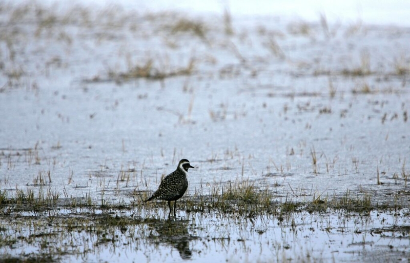 New federal water pollution rule draws mixed reaction