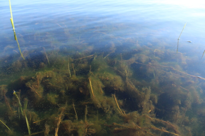 South Dakota’s water quality reports grow more polished and less honest