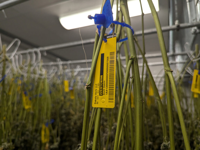 Medical marijuana industry pushes for rule changes and representation as cardholders decline