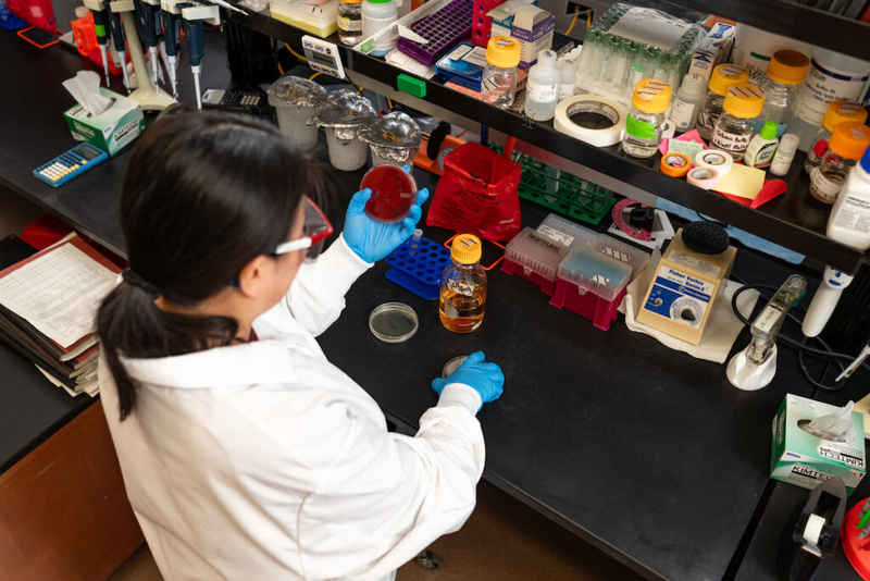Support for SD biomedical students falls victim to Trump diversity cuts upheld by Supreme Court