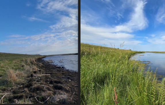 Water quality buffer program grows following $8 million boost from lawmakers