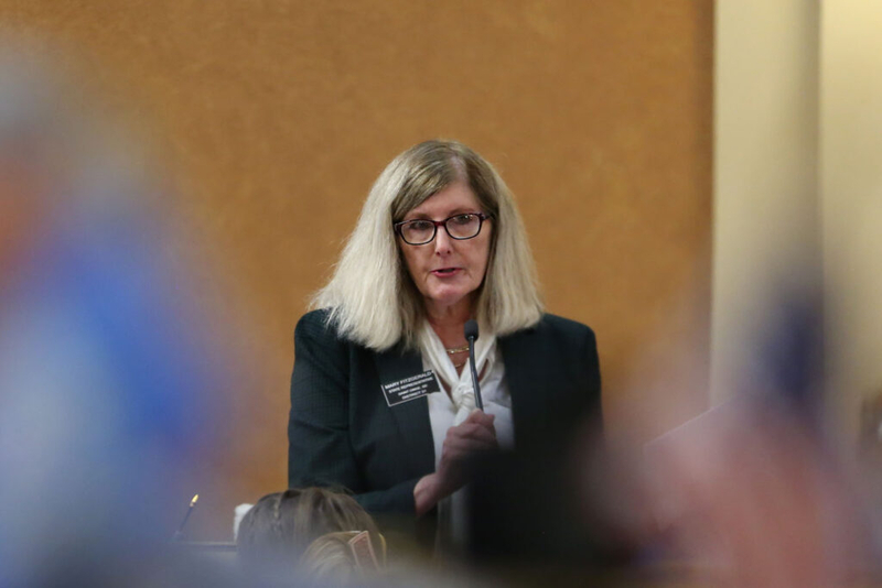Lawmakers endorse adding school coaches as mandatory reporters of abuse and neglect, but not clergy