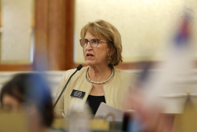 Talks underway about state airplane purchase as new law requires consultation with expert panel