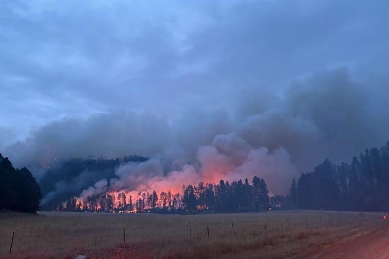 Wildfire near Custer damages 10 properties, authorities say
