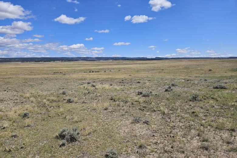 Company proposing Black Hills uranium mine eyes state permitting restart after 13-year pause