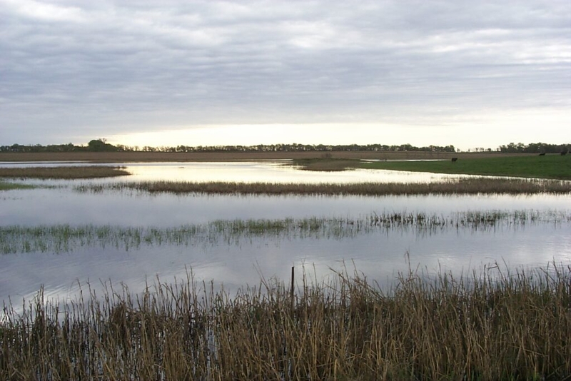 Call for input on wetlands regulations should catch South Dakotans’ attention