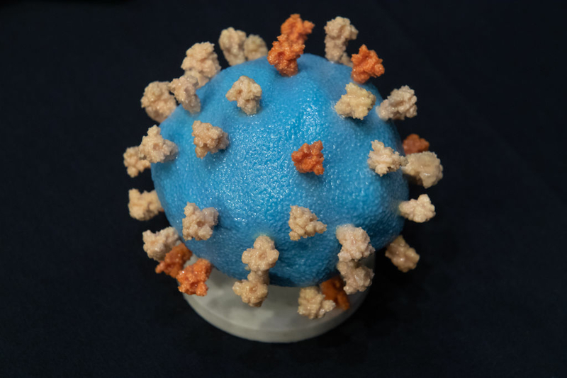 Lawmakers hear theories on COVID-19 origins in U.S. House hearing