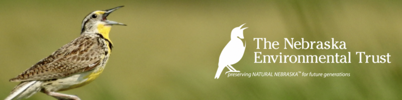 Pillen letter to Nebraska Environmental Trust labeled ‘unusual’ and ‘political interference’