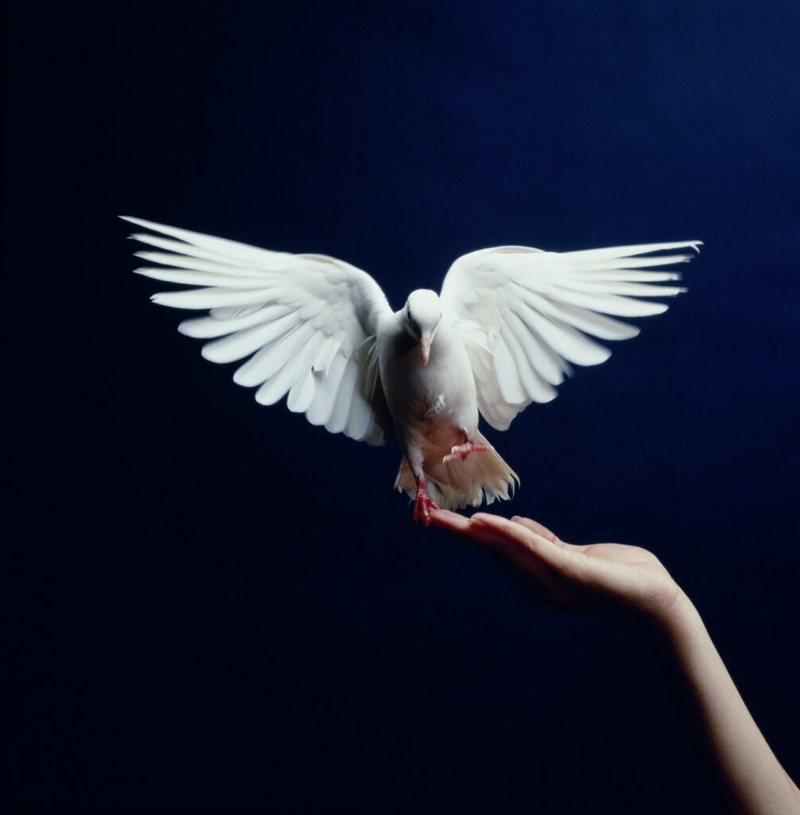 Charting a peaceful course for all seasons