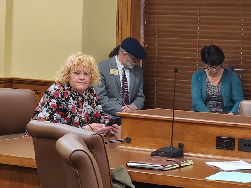 Arkansas panel approves proposed ban on school employees using transgender individuals’ pronouns