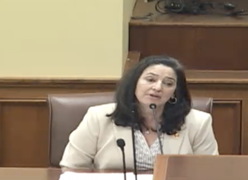 Panel approves bill barring mandatory implicit bias training in schools