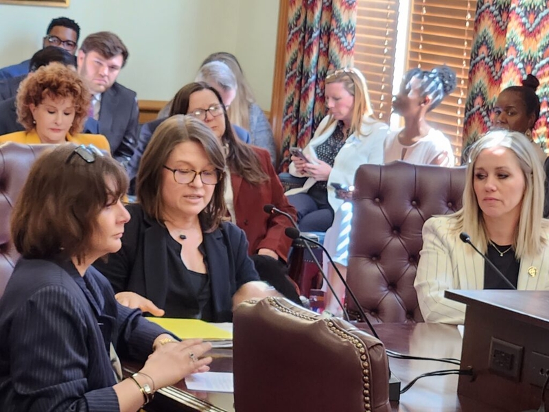 Arkansas Senate committee rejects 12-month postpartum Medicaid coverage