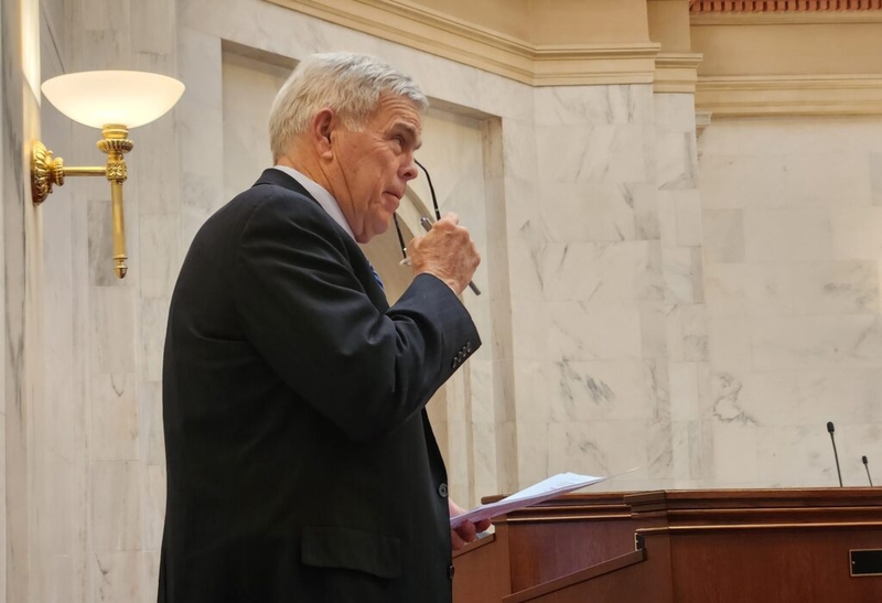 Arkansas Senate approves ban on DEI policies in local governments; bill ...
