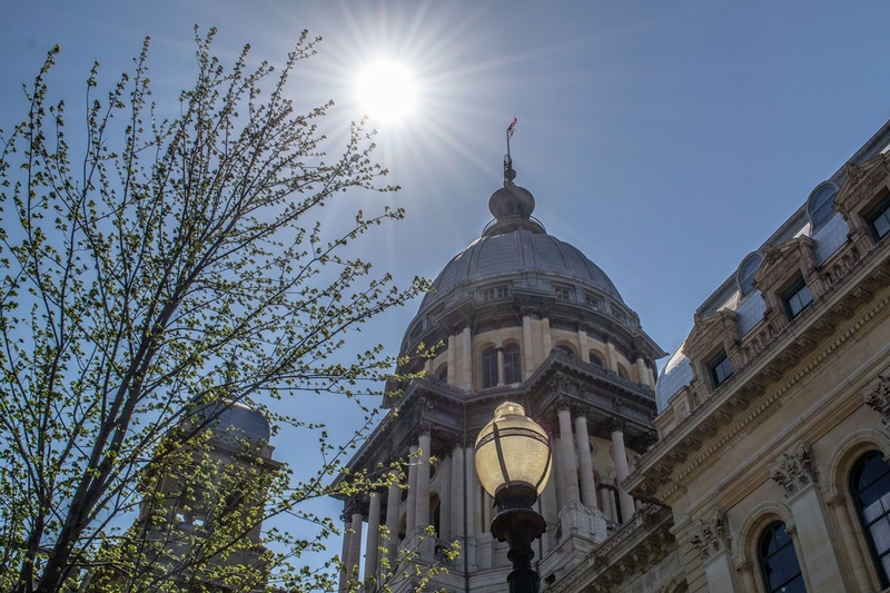 Ethics commission names acting inspector general
