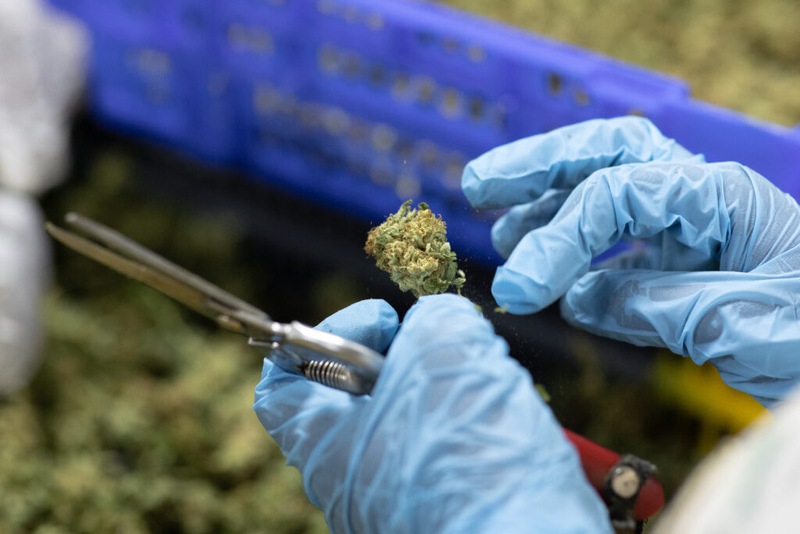 Reclassifying medical marijuana is long overdue, but it’s not enough