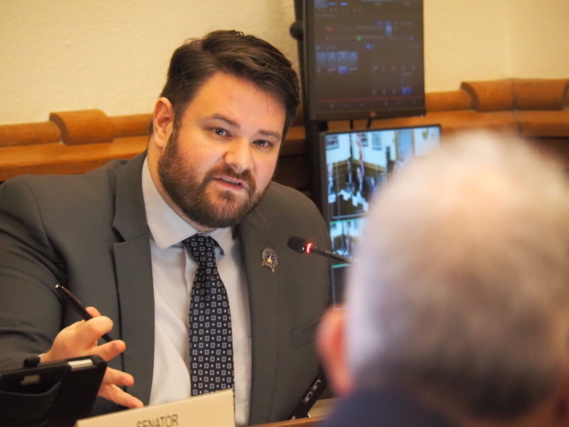 ‘Paid protester’ lobbying bill advances to Senate floor with ‘substantial’ edits expected