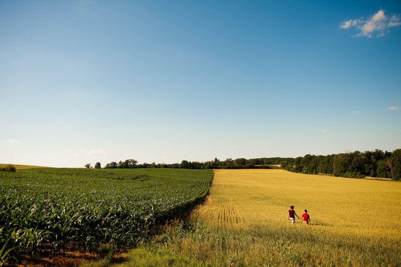 Consumers thrown under pesticide industry’s steamroller in bill awaiting KY House vote