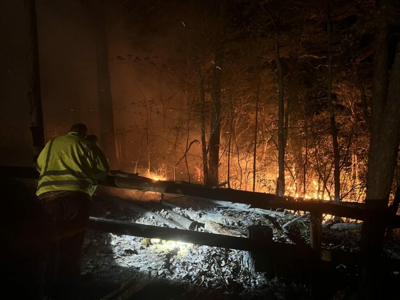 Wildfire at Natural Bridge state park spreads to more than 100 acres