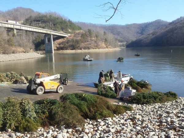 Recycle Christmas trees to make fish habitat Dec. 26-Jan. 15