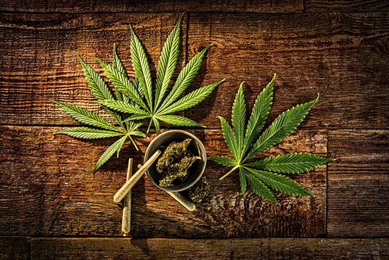 CBD, THC combo proven to help late-stage dementia patients’ quality of life 