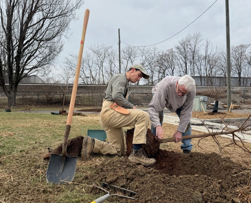 Helping trees — and a city — outrace climate change