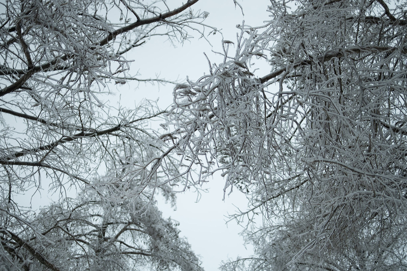 Deadline for Winter Storm Fern assistance is Wednesday; MEMA shares updated figures
