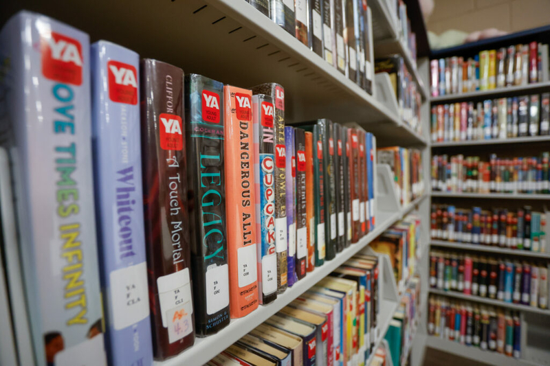 The most dangerous idea in a library? Empathy
