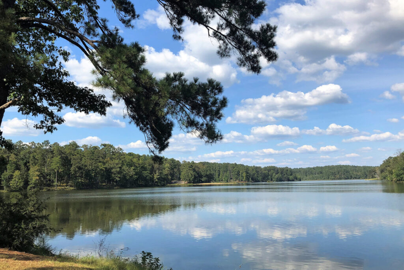 Environmental groups seek to block oil and gas drilling in Conecuh National Forest