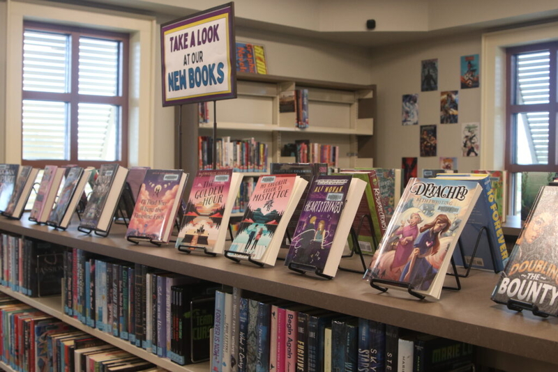 Alabama state library board creates sample policies to implement controversial rule changes