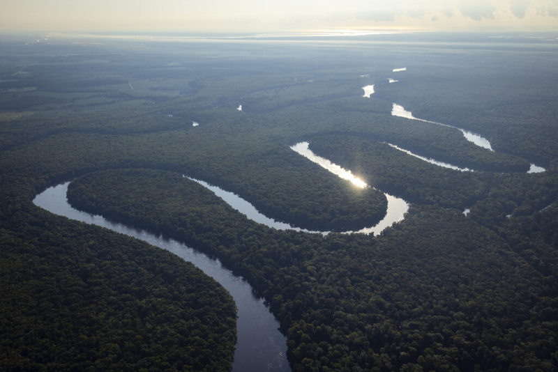 Largest conservation easement project in SC history underway with $50M grant