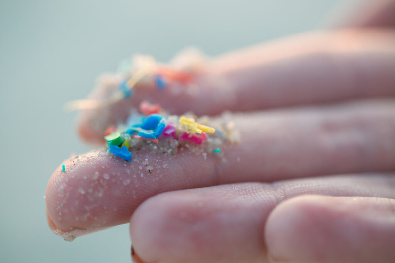 Microplastic pollution is everywhere, even in the exhaled breath of dolphins