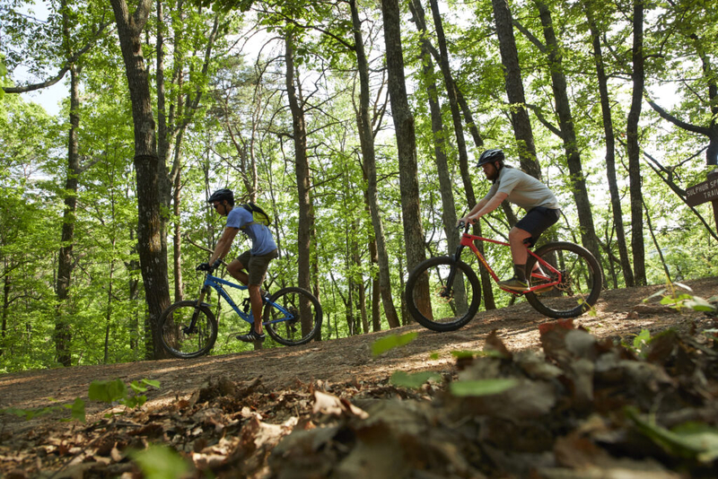 SC parks department asks for $186M in ‘generational’ upgrades to keep up with demand