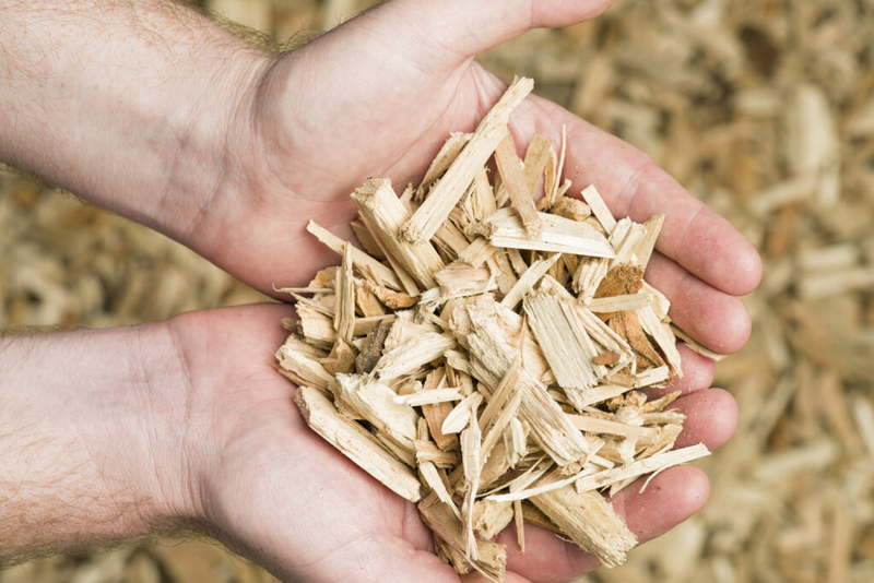 Wood paneling manufacturer pledges $250M investment, 300 jobs in rural SC