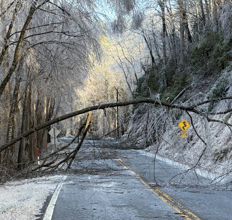 Over 100 deaths linked to January storms – here’s how to stay safe when cold, snowy weather moves in