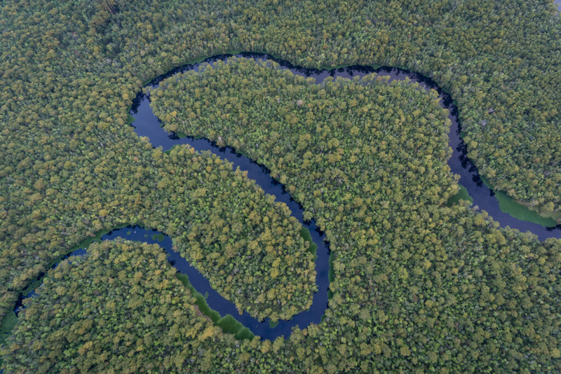 SC considers protecting nearly 6,000 acres ‘of critical importance’ near Grand Strand river