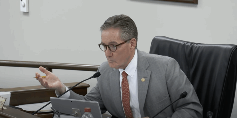 SC senator proposes capping K-12 vouchers at 10,000 students after homeschooling concerns