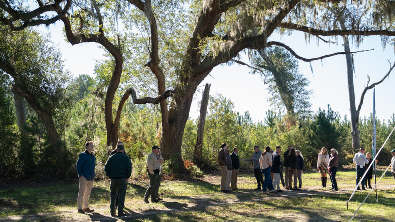 ‘Cause for celebration’: SC opens 7th state forest