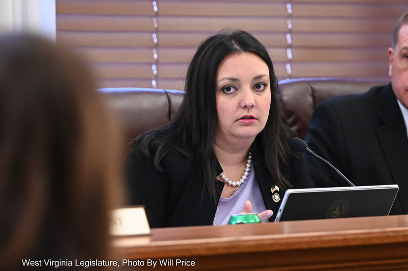 Senate bill would add photo of cardholder to EBT cards
