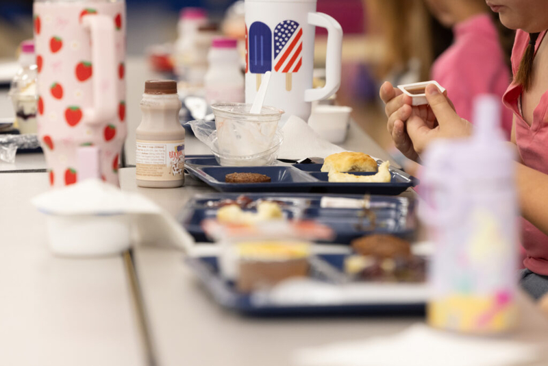 Childcare, education and children’s health are inseparable