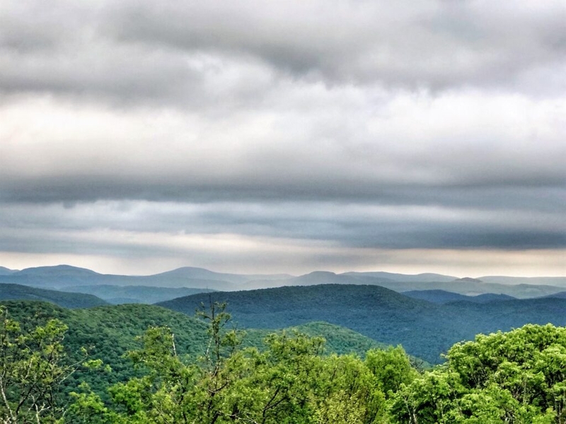 What we leave our children in the Monongahela National Forest