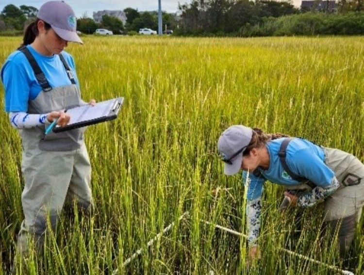 Wetlands bill to face lawmakers with $1.5M annual cost