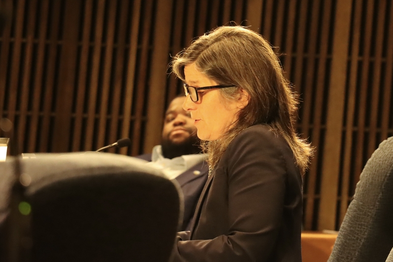 Wilmington settles on housing compromise in final budget vote