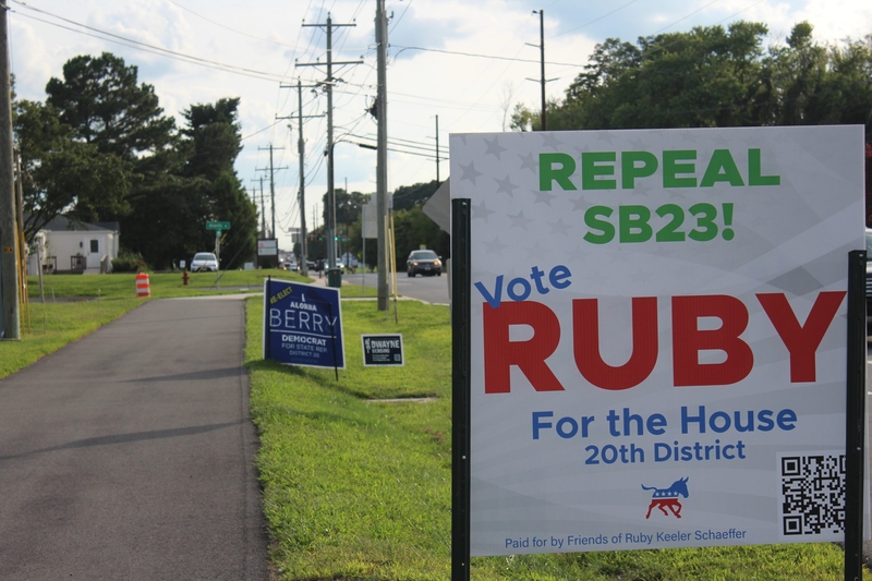 Sussex County candidates, leaders decry SB 23 as elections loom 