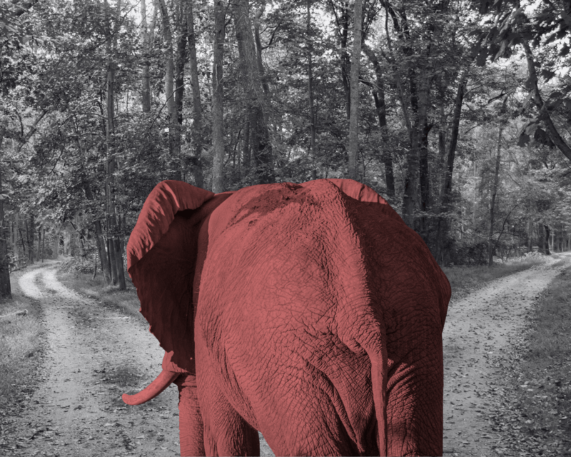 A divided Delaware GOP debates principles, electoral strategy