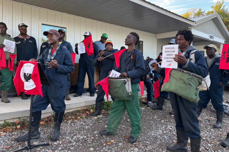 Apple Pickers Are Still Waiting for Promised Union Protections