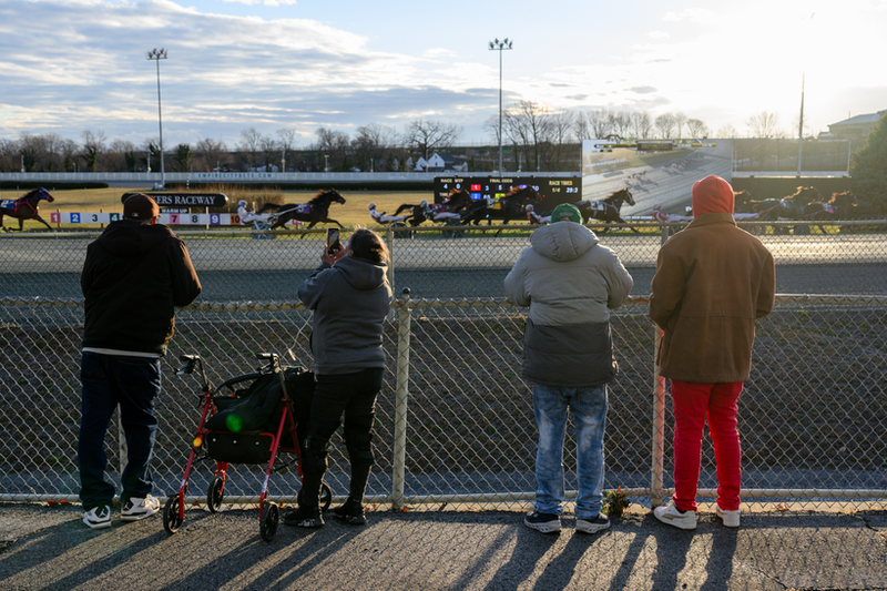 Top Horse Racing Investigator Resigns After New York Focus Investigation