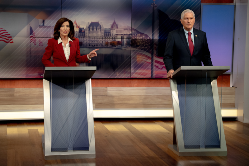 What to Know About the New York Governor’s Race