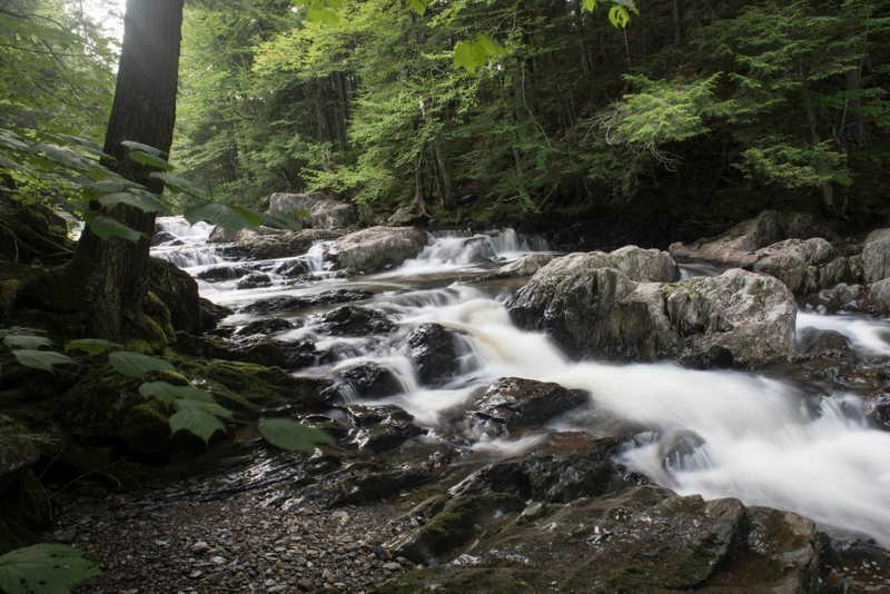Thousands of acres conserved in Woodbury, where family plans to sustainably log for generations