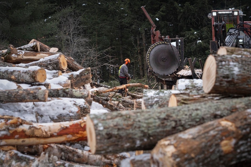 A New York paper mill is closing part of its operation. Vermont loggers are sounding the alarm.