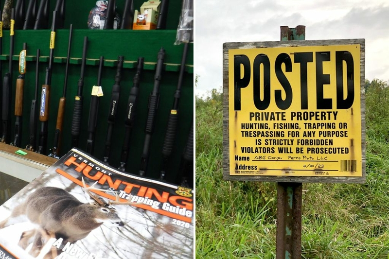 Wild divide: A debate over wildlife management in Vermont runs deep